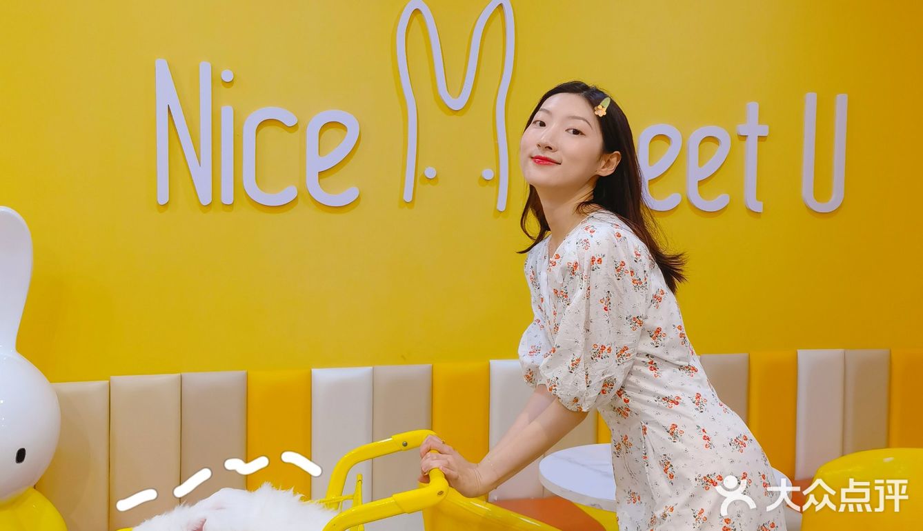 成都探店丨安哥拉巨兔超萌的