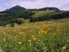 -野三坡百草畔景区