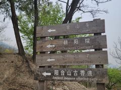 -阳台山自然风景区