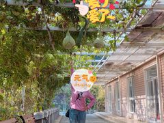 -密云玫瑰情园