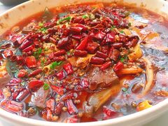 毛血旺-佳兰雅序融合菜(高新店)