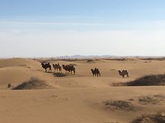 -沙漠世界地质公园