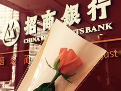 -招商银行(上海常德支行)