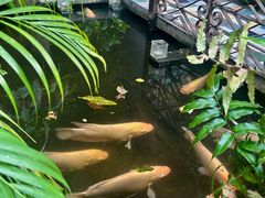 -Cuc Gach Quan Restaurant