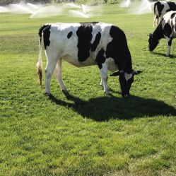 -华卫思理轻奢造型