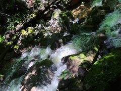 -青峰峡国家森林公园