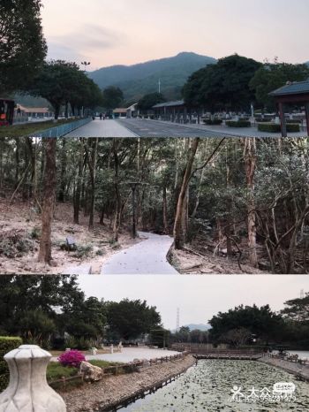 「凤凰山公园」 小姐妹们 听说这里许愿很灵哦