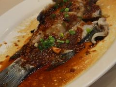 -沙龙酒家