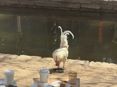 -春风习习