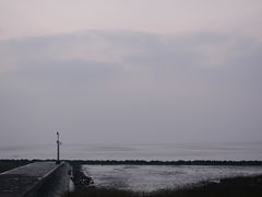 -南汇嘴观海公园