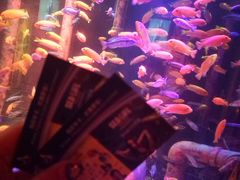 -沈阳海洋探索中心