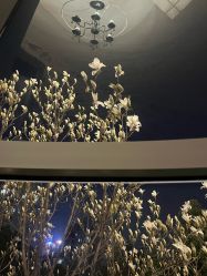 -馨月汇·一悦馨香月子中心(前滩店)
