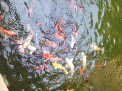 iphone_upload_pic-苏州吴宫泛太平洋酒店