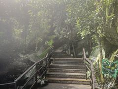 -呀诺达热带雨林