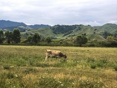 -新疆那拉提国家旅游度假区