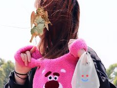 -桐乡凤凰湖