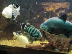 -嘉兴海底世界