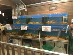 -真浪花园海鲜餐馆