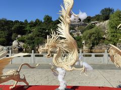 -北京西山国家森林公园