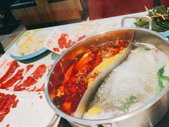 -潮牛禾记•潮汕鲜牛肉火锅(新亚洲店)