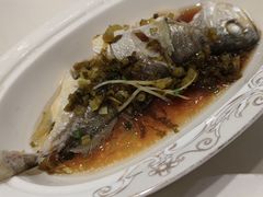 咸菜蒸小黄鱼-沪华海鲜大酒楼(南汇店)