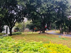 -四海公园(南山区)