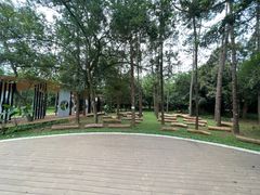 -南宁良凤江国家森林公园