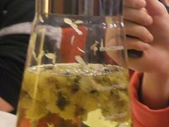 菊花茶-金百万烤鸭店(马甸店)