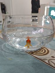 -玛尼瑜伽·普拉提