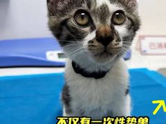 -哆趣宠物医院·眼科·内镜·急重症转诊中心(上海店)