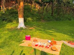 -丝恋丝娃娃(金阳国贸店)