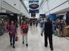 -约翰·菲茨杰拉德·肯尼迪国际机场