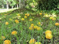 -幕燕滨江·长江观音景区