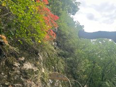 -天女山森林公园