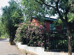 -阳台山自然风景区