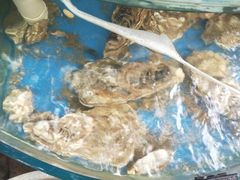 -晓伟海鲜家常菜