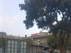 -印象泰和园(望丛西路店)