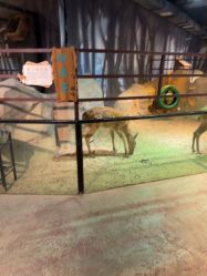 -酷嗒动物文化乐园(cutezoo西溪乐天城店)