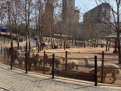 -大连森林动物园