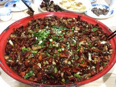 -东吴霸王兔(松青路店)
