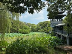 -金鸡湖桃花岛