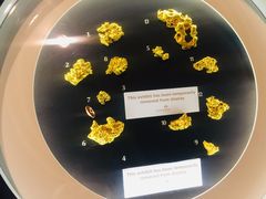 -疏芬山金矿