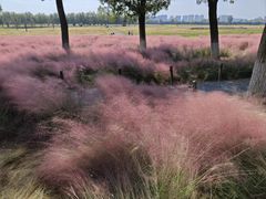 -汉长安城未央宫国家考古遗址公园