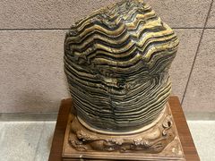 -中华赏石园