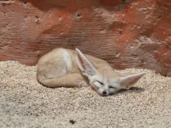 -Zoolung Zoolung动物主题公园(海信广场店)