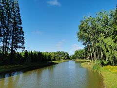 -黄海国家森林公园