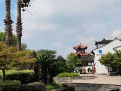 -观潮胜地公园