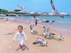 -海驴岛(荣成市)