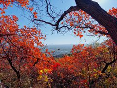 -北京西山国家森林公园