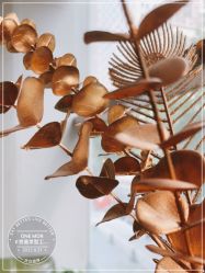 -变画·发型STUDIO